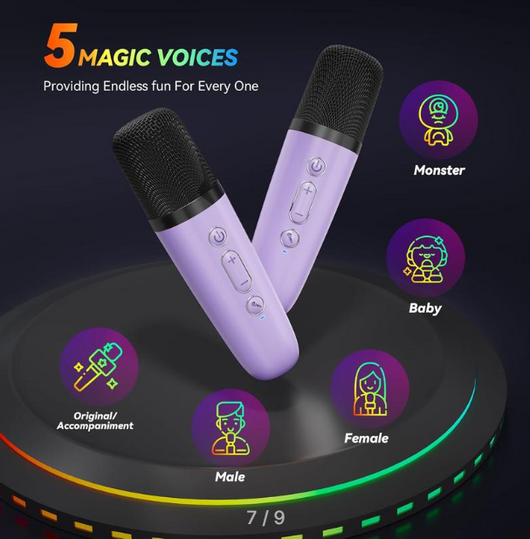 Portable Mini Karaoke Machine